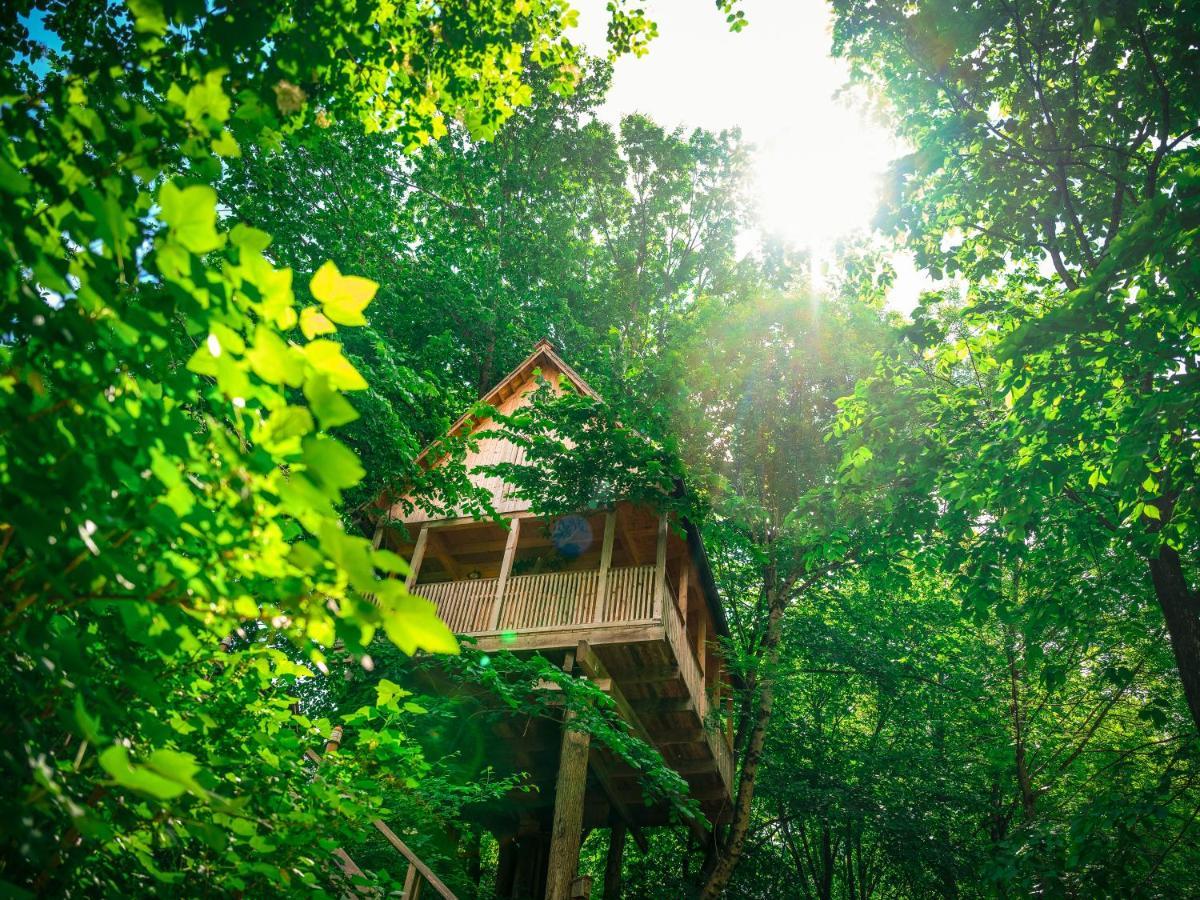 Boomhut met 2 Slaapkamers en Balkon