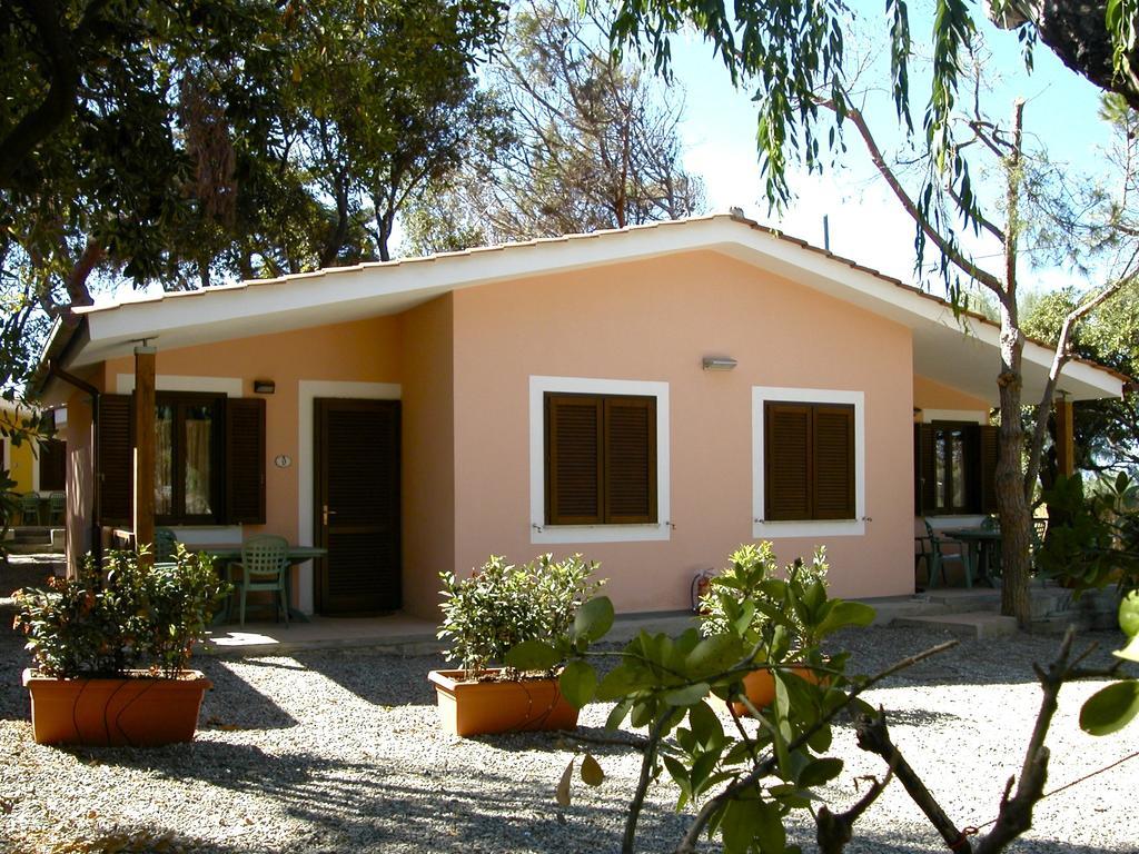 Bungalow avec Terrasse