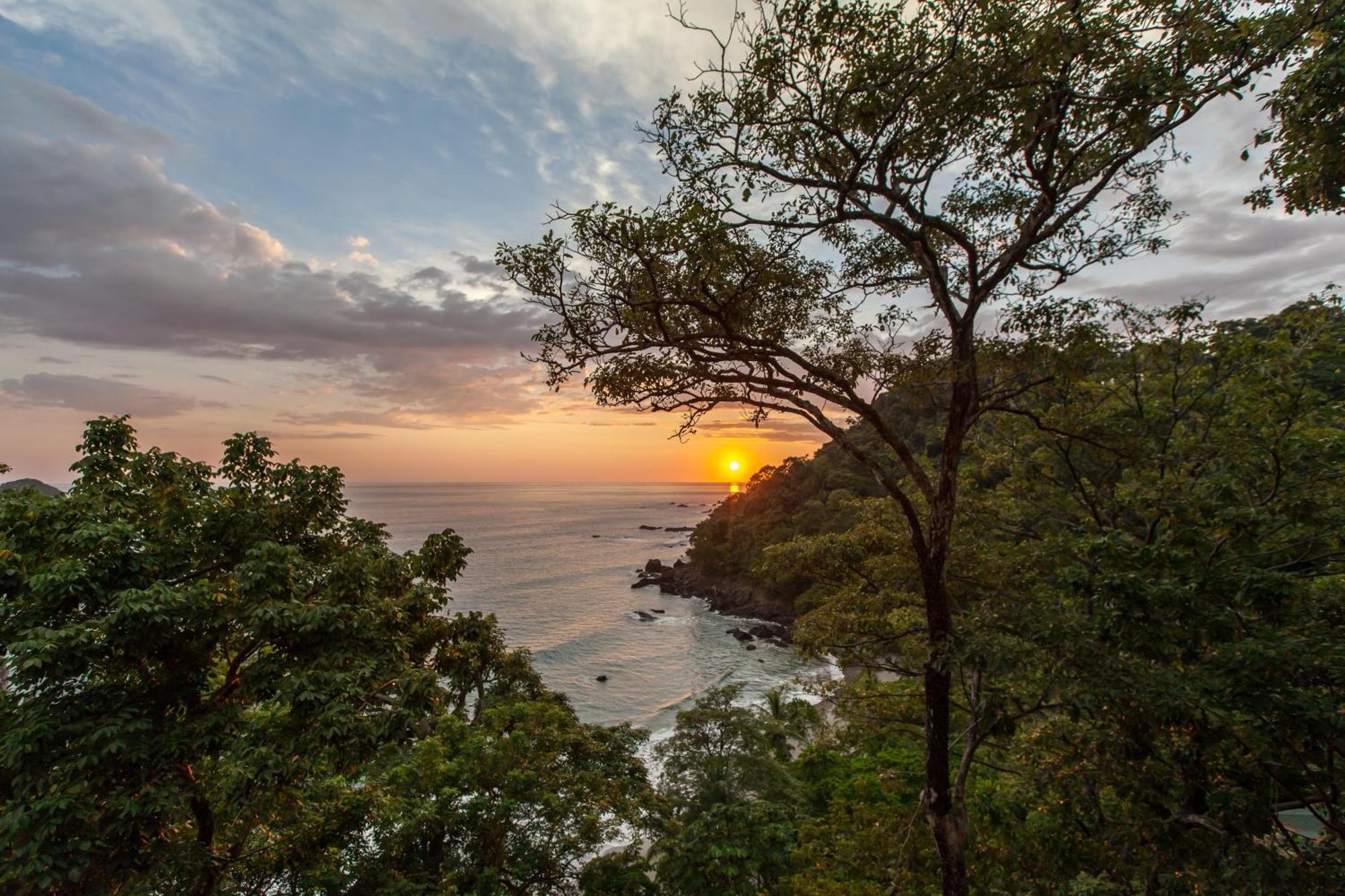 Suite Premium con vistas al mar