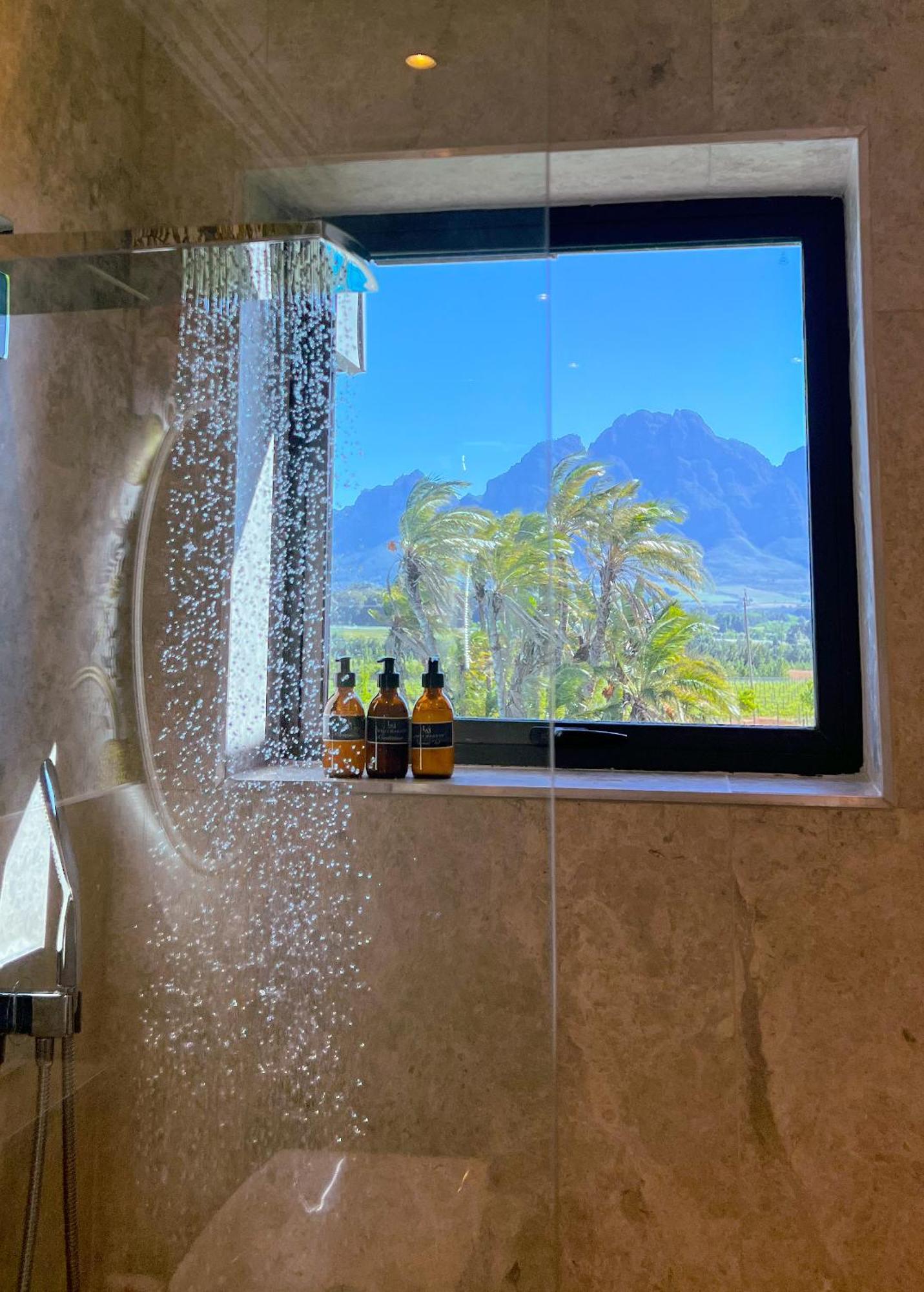 Deluxe Double or Twin Room with Mountain View