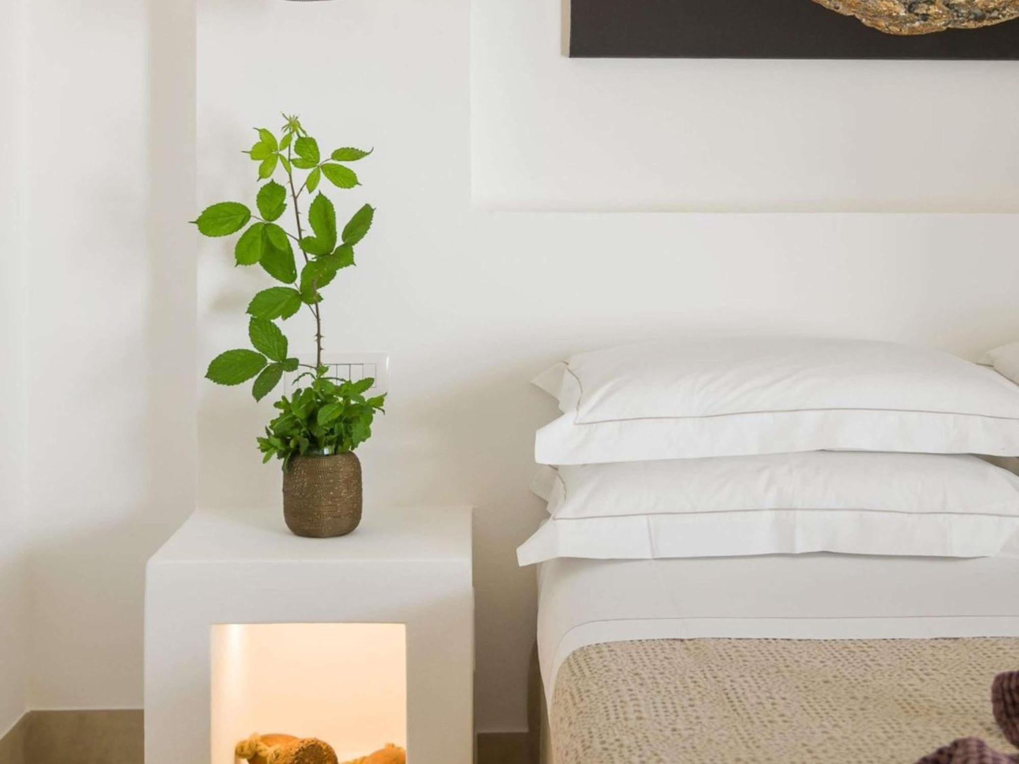 Deluxe Double Room,1742709739:JPEG