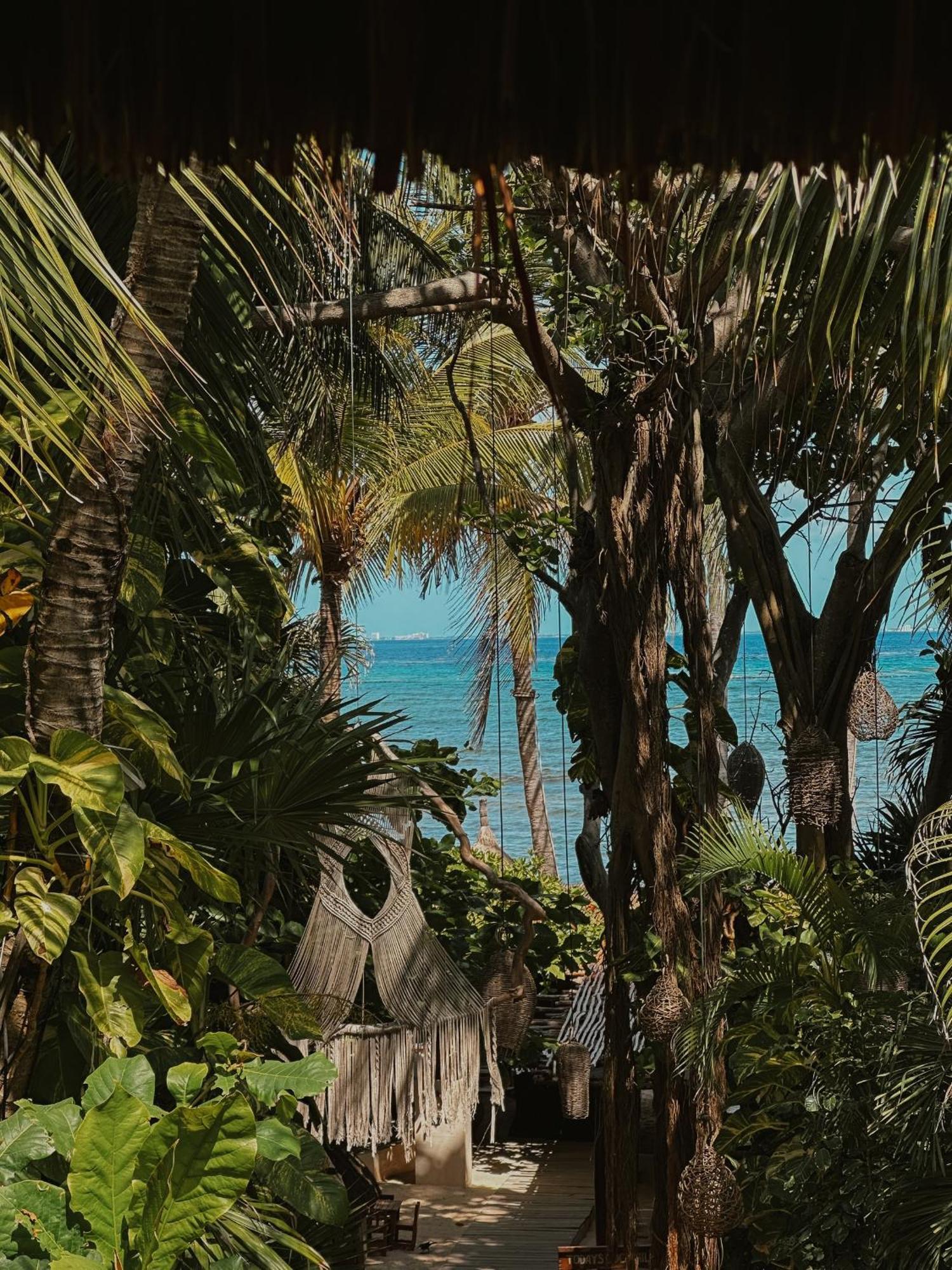Superior Twin Room Sea View