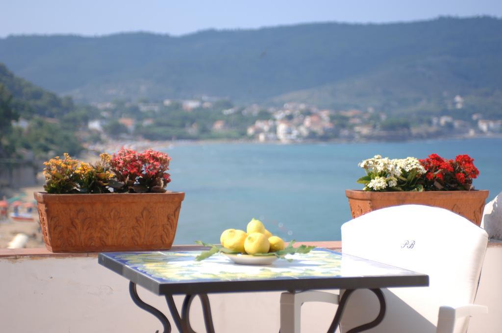 Suite with Terrace,685763607:JPEG