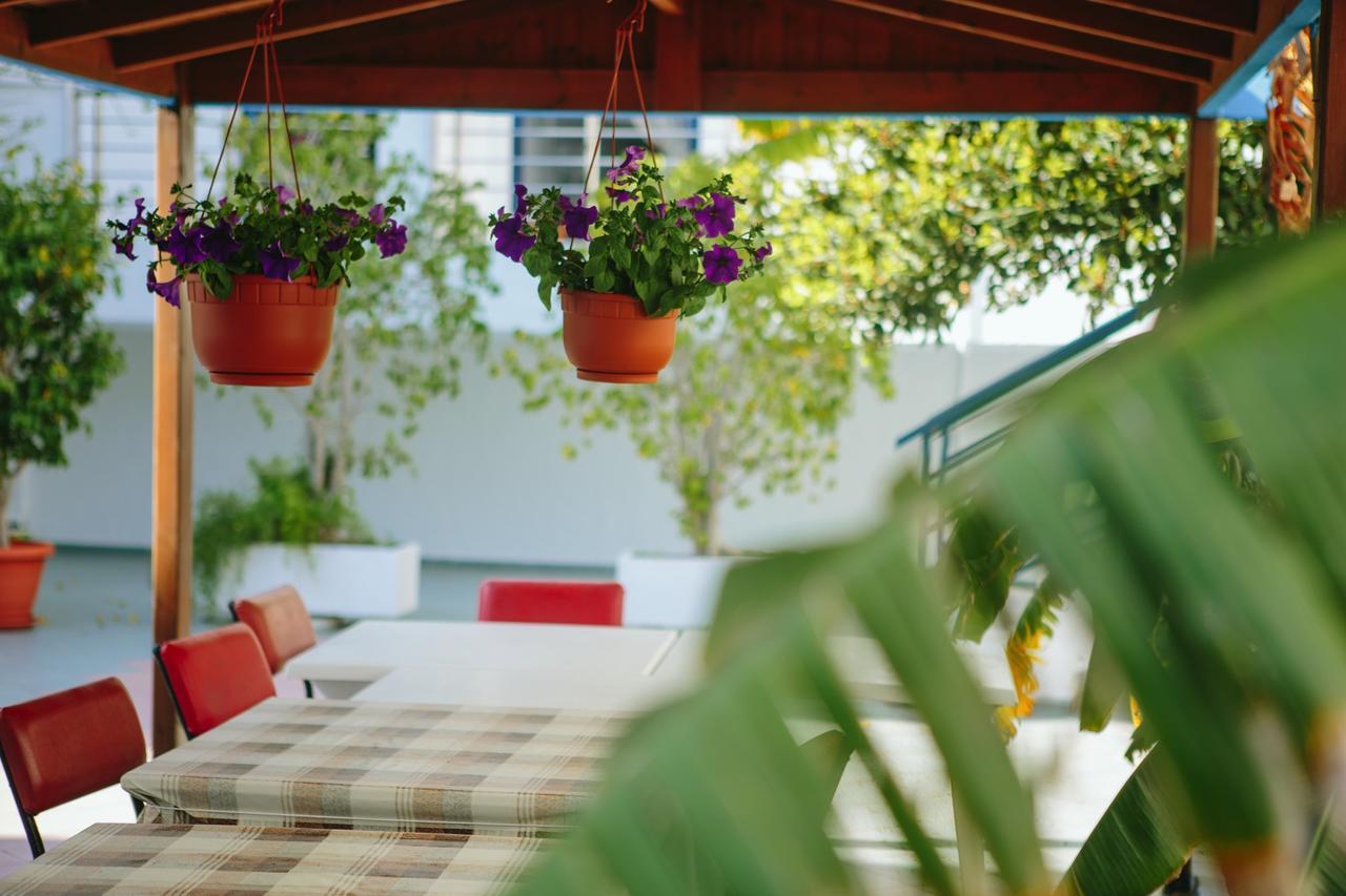 Eenpersoonskamer met Uitzicht op de Tuin