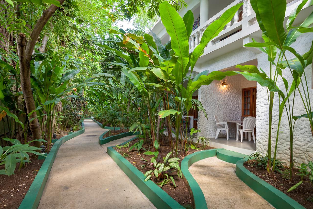 Garden Studio II
