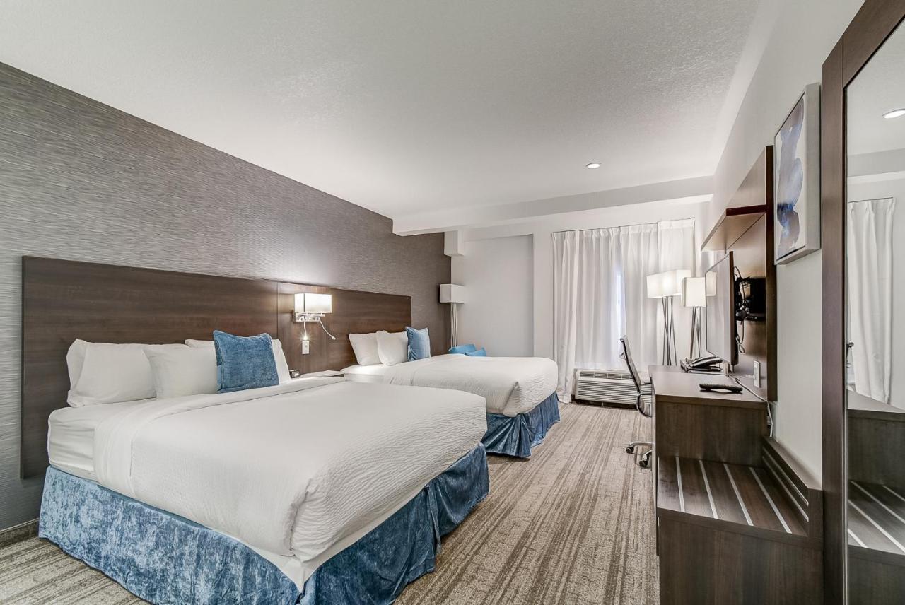 Studio 2 Queen Beds,765795439:JPEG