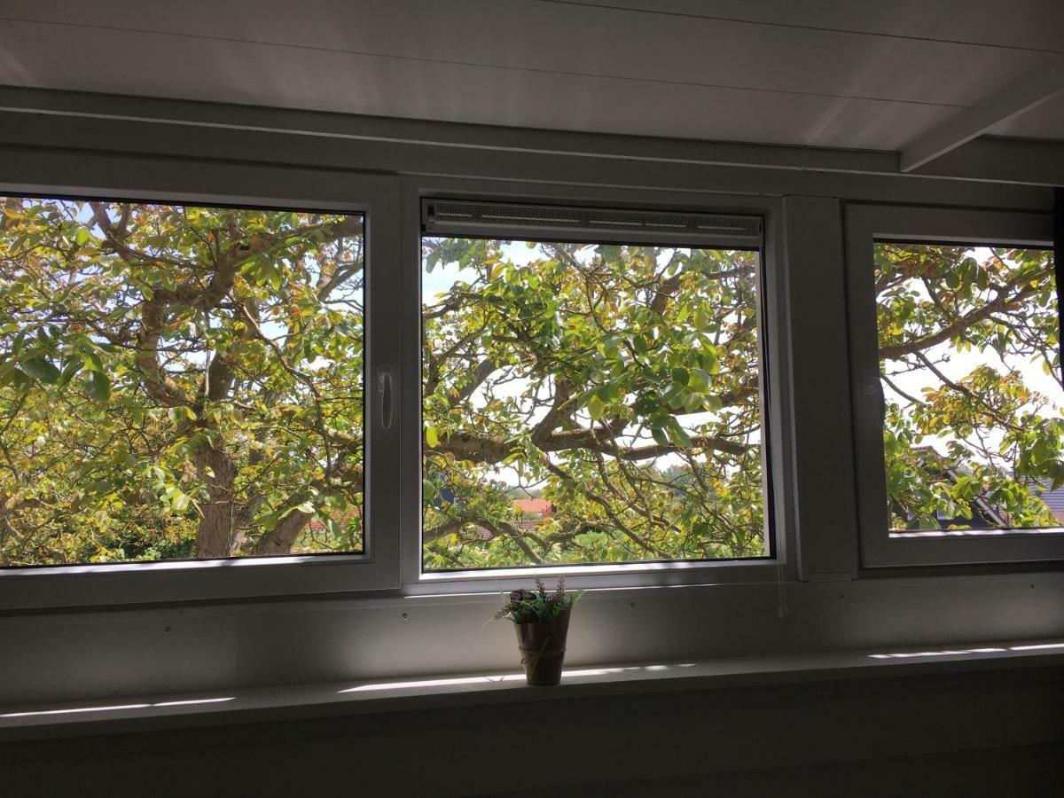 Double Room with Shared Toilet,817740689:JPEG