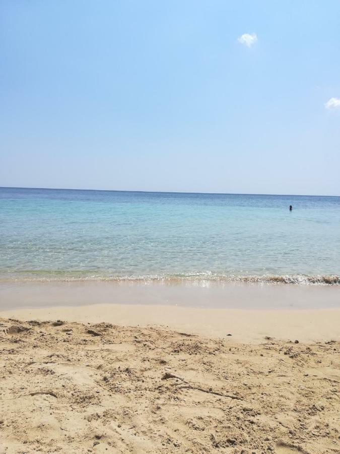 Holiday Home,863597783:JPEG
