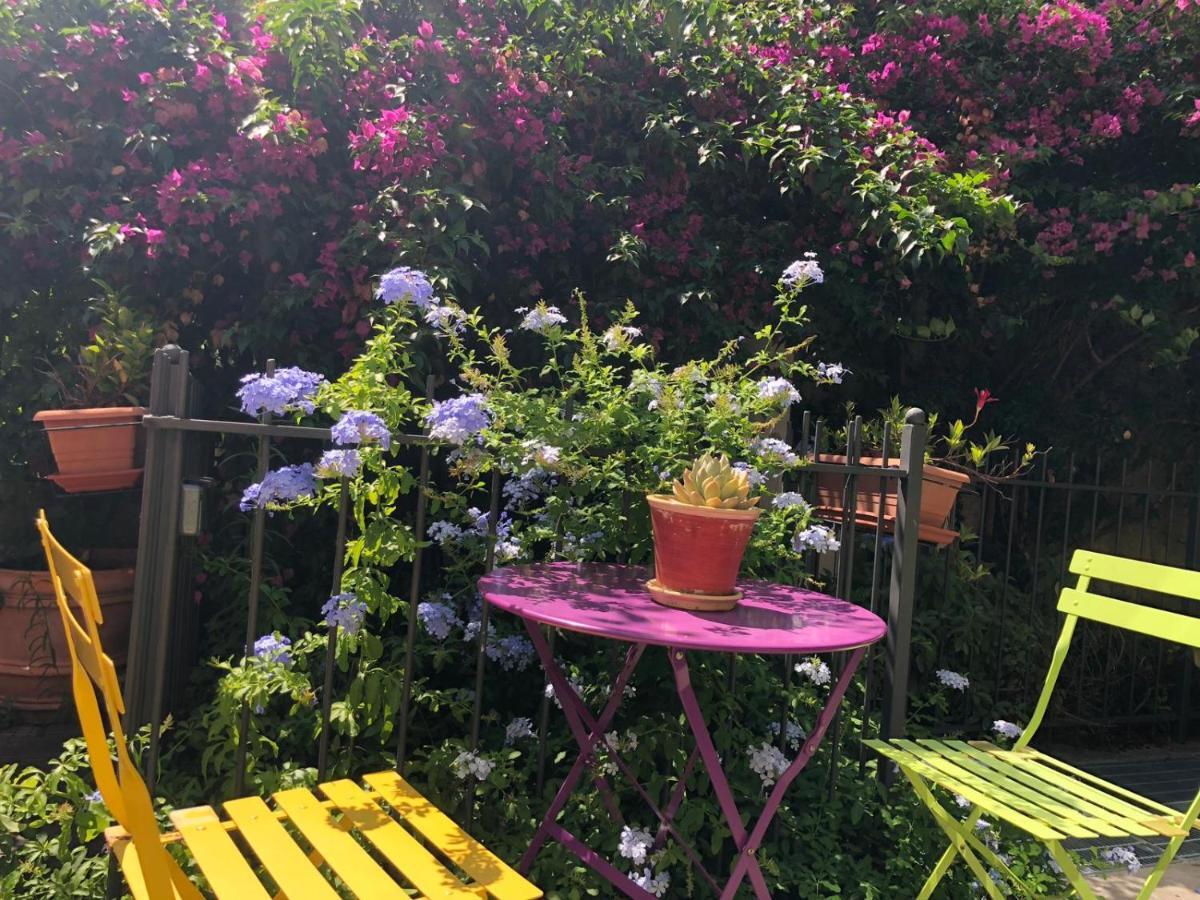 Double Room Garden View