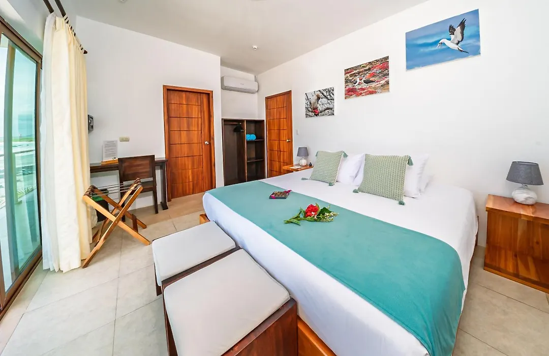 Cormorant Beach House-1