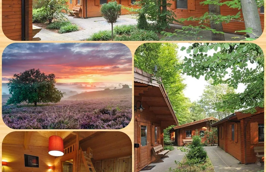 Lodges Veluwse Poort-1
