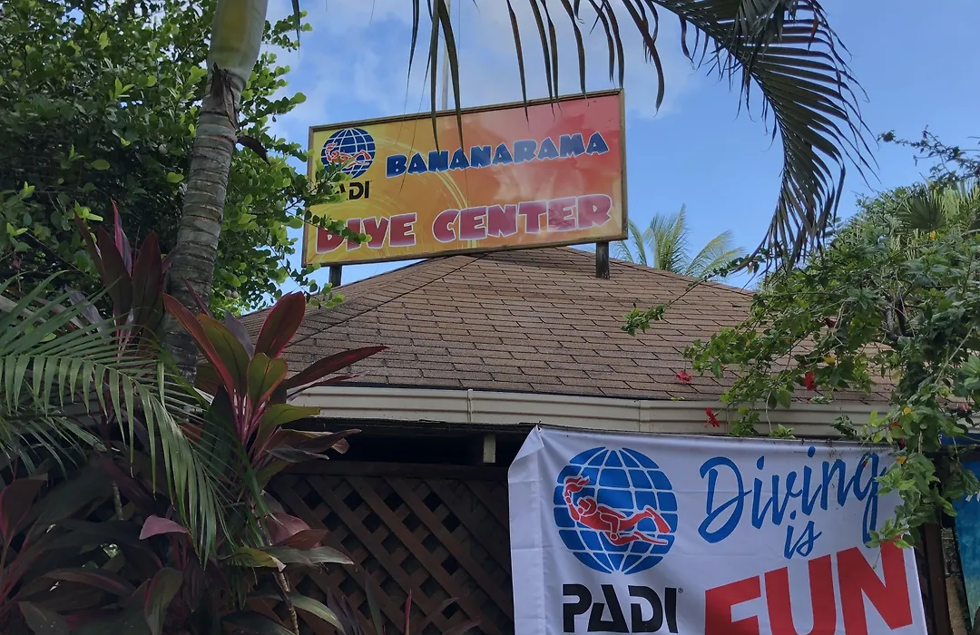 Bananarama Dive & Beach Resort-1