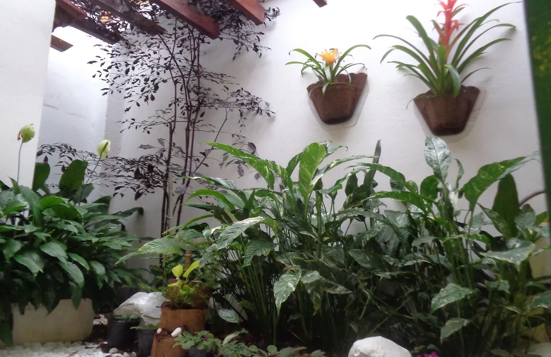 Rio Claro Plaza Hotel-1