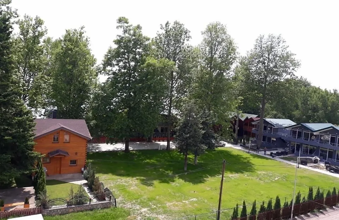 Hotel Mizo-1