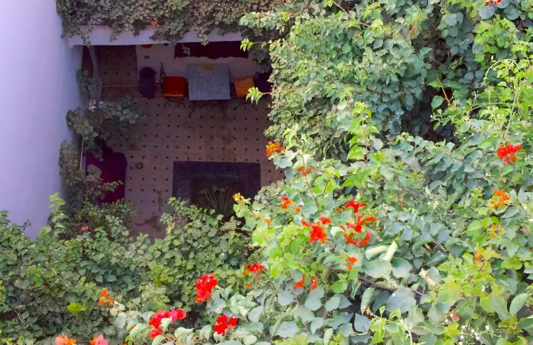 Bougainvillea Riad-1