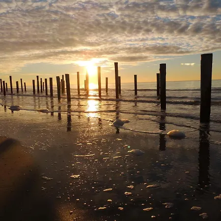 Nieuw Strand-2