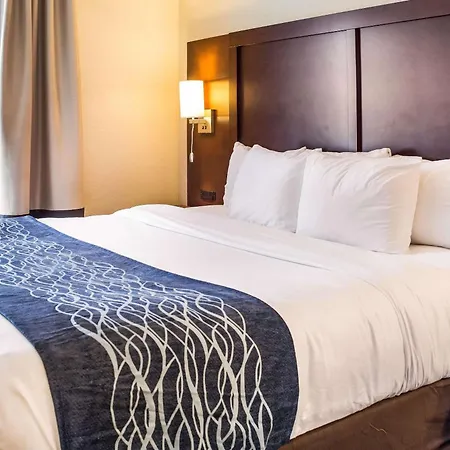 Comfort Inn & Suites Niagara Falls Blvd Usa-3