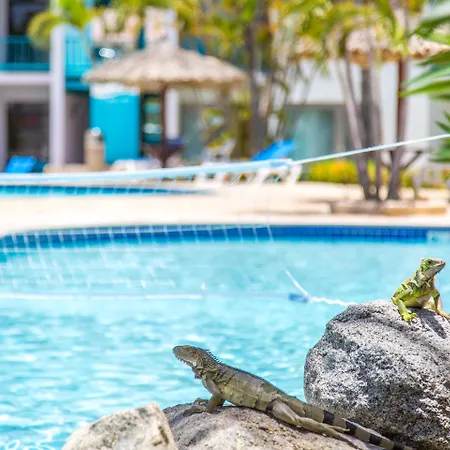 Courtyard By Marriott Aruba Resort-2