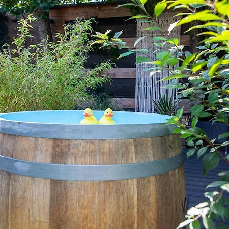B&B Joli met privé wellness-3