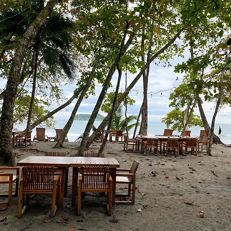 Arenas Del Mar Beachfront & Rainforest Resort Member Of The Cayuga Collection-2
