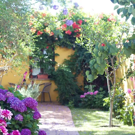 Hotel Doñana Blues-3