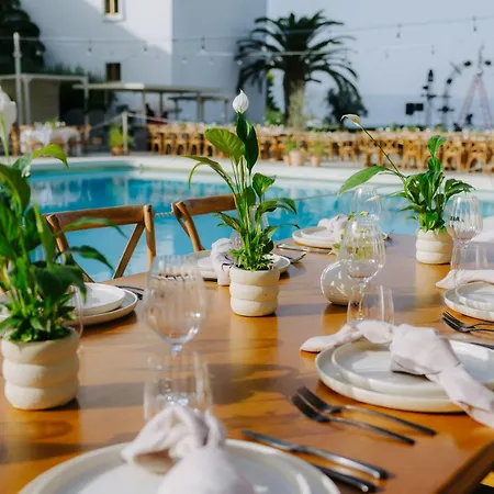 Brown Beach Chalkida Resort, A Member Of Brown Hotels-2