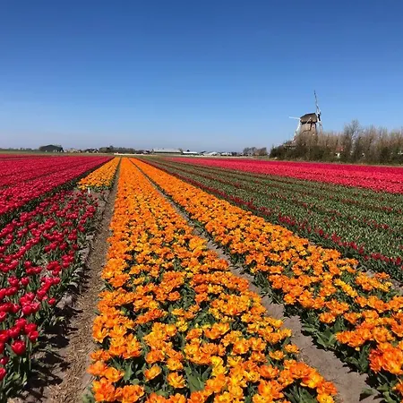 De Zwarte Ruiter-3