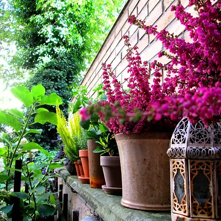 Sofs Boutique Hotel-2