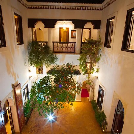 Riad Chergui-2