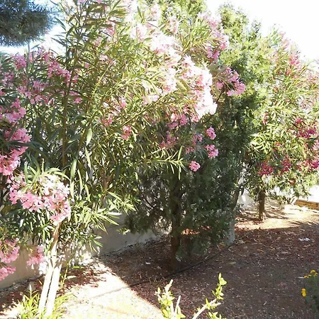 B&B La Strea-2