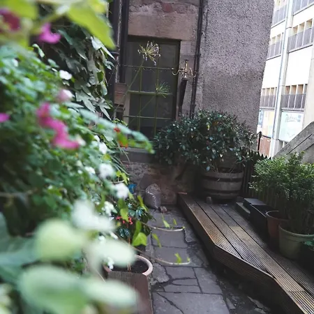 High Street Hostel - Over 18S Only, Backpackers Atmosphere (Adults Only)-3