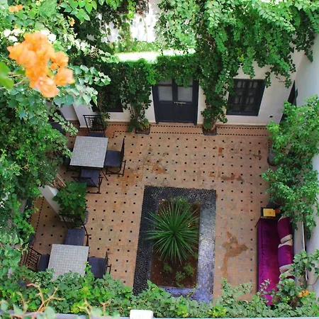 Bougainvillea Riad-2