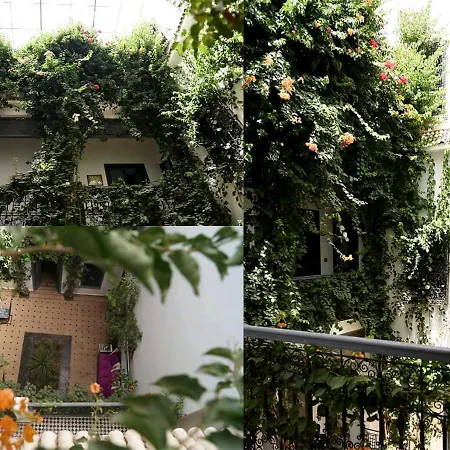 Bougainvillea Riad-3