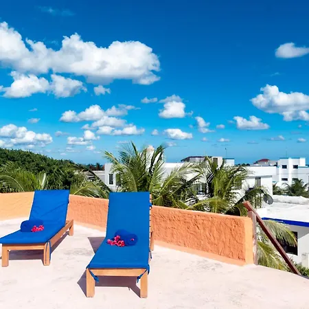 Casa Mulder - Steps To Beach Private Pool Ocean-View Roof-2