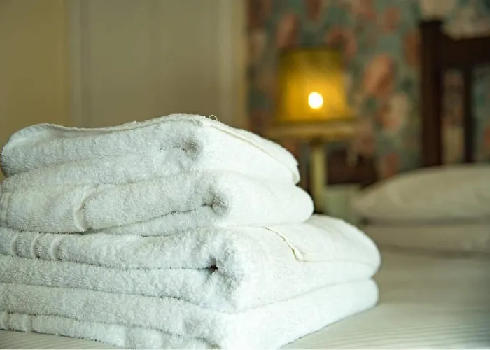 Pet Friendly hotel: The Royal