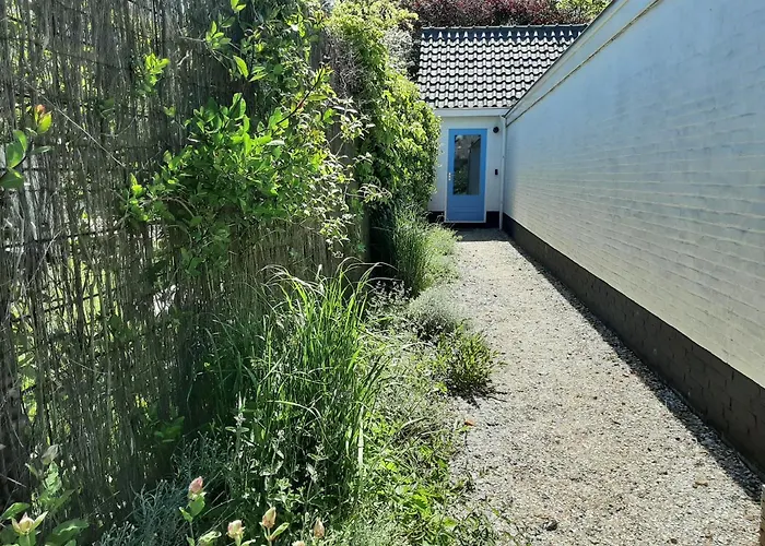 Boshuisje Petten aan Zee