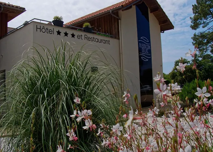 Hôtel accueillant les animaux: Hotel Au Bon Coin du Lac