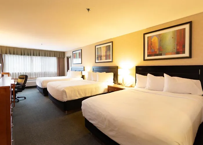 Pets Allowed Hotel Kelowna & Conference Centre