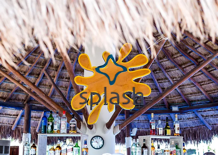 Pet Friendly hotel: Dreams Sapphire Resort & Spa