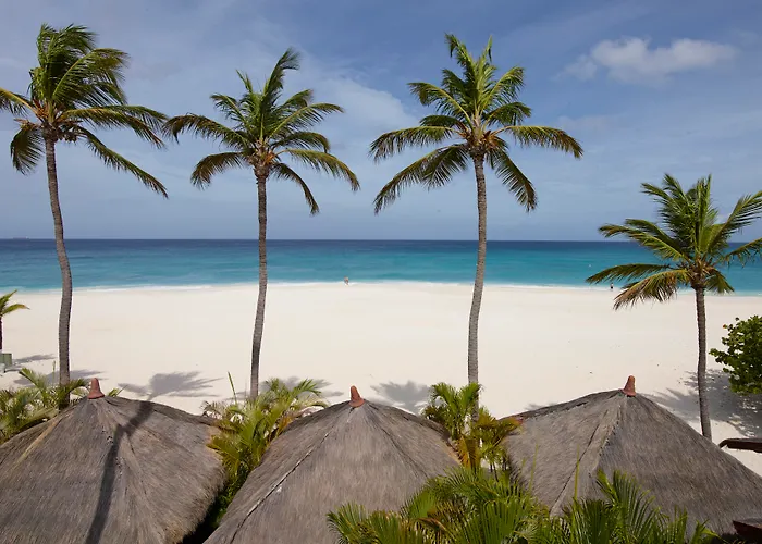 Luxury hotel only: Manchebo Beach Resort And Spa