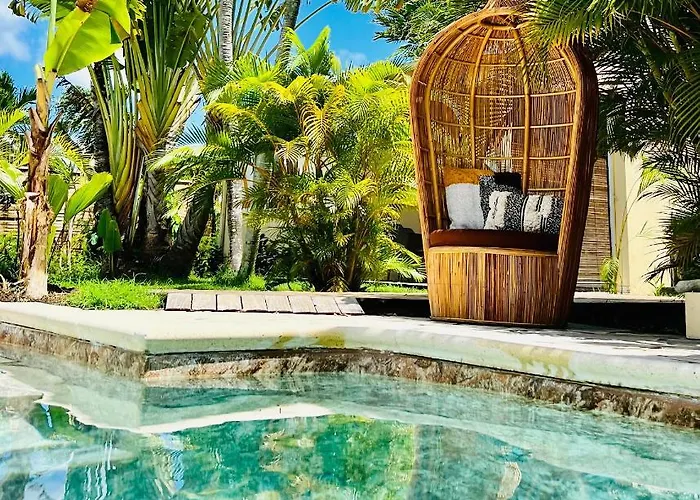  Île Tropical