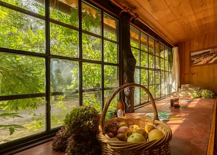 Da Quinta Lavoura Da Bouça - Fruta Bio