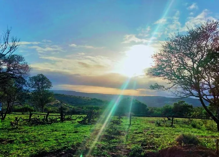 Fig Tree Farm