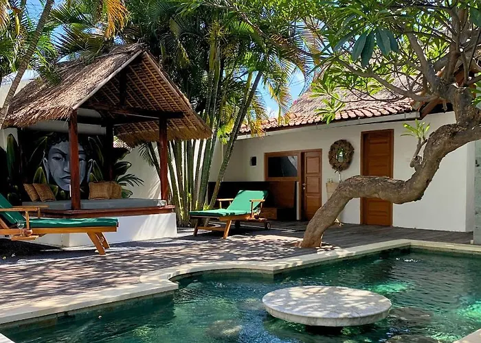 Perros hoteles Pleasure Dome