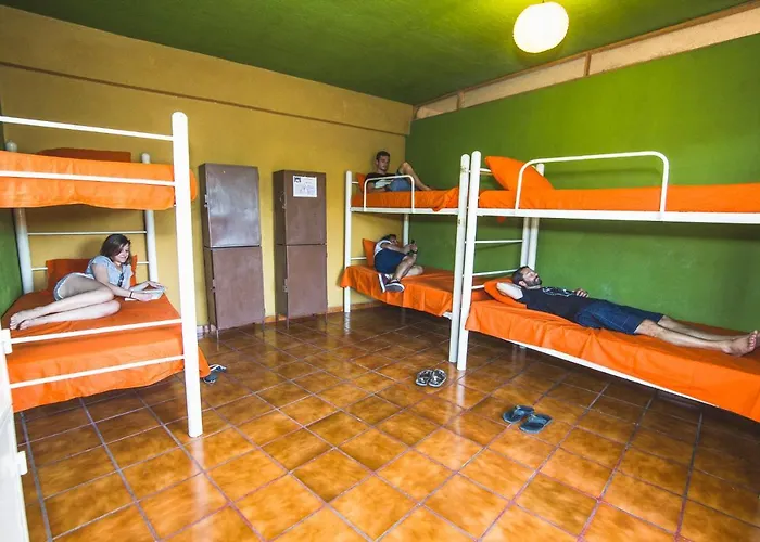 Hotel near College: Oasis Hostel