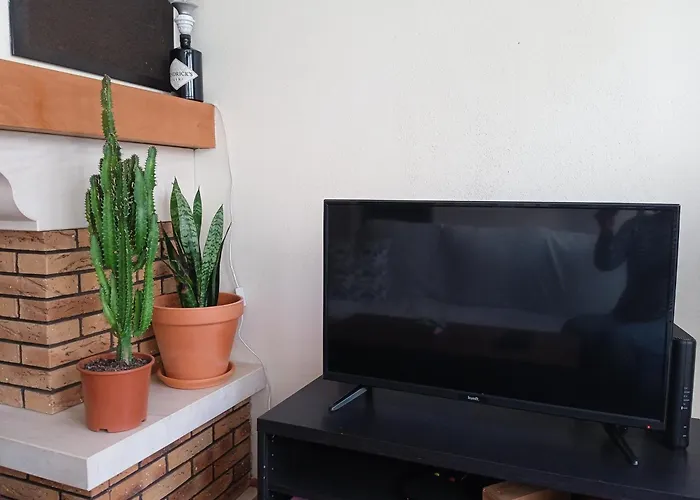 Hakuna Matata Hostel