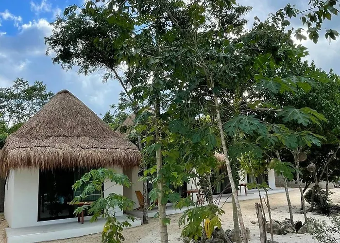 Reserve Tulum
