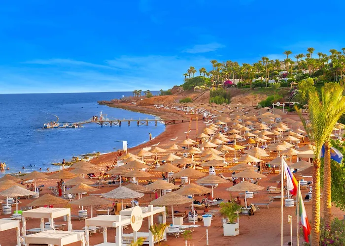  Domina Coral Bay , Diving, Spa & Casino