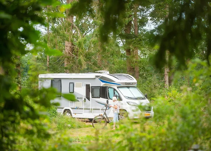 Huisdiervriendelijk hotel: RCN Vakantiepark de Roggeberg