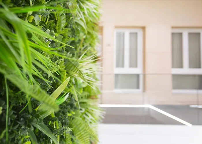 Hotel cerca del colegio: Apartamentos La Tahona Cádiz Centro